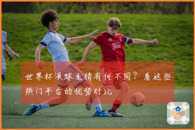 世界杯滚球竞猜有何不同？看这些热门平台的优势对比