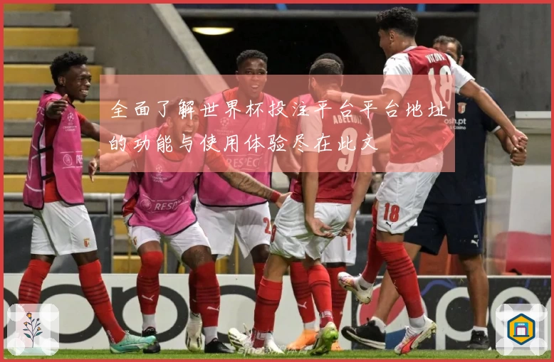 全面了解世界杯投注平台平台地址的功能与使用体验尽在此文