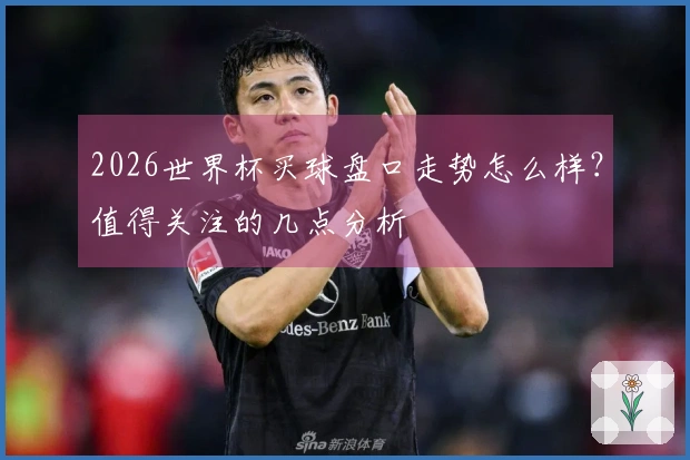 2026世界杯买球盘口走势怎么样？值得关注的几点分析