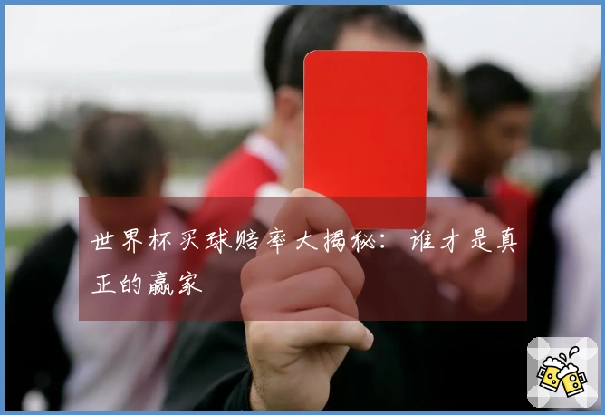 世界杯买球赔率大揭秘：谁才是真正的赢家