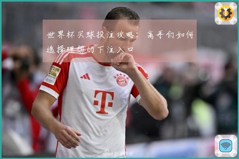 世界杯买球投注攻略：高手们如何选择理想的下注入口