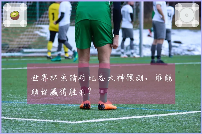 世界杯竞猜对比各大神预测，谁能助你赢得胜利？