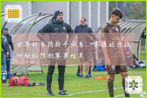 世界杯竞猜新手必看：掌握这些技巧轻松预测赛事结果