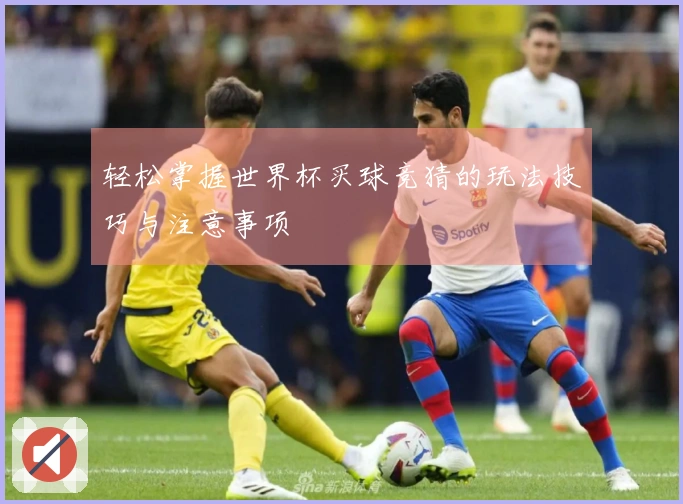 轻松掌握世界杯买球竞猜的玩法技巧与注意事项