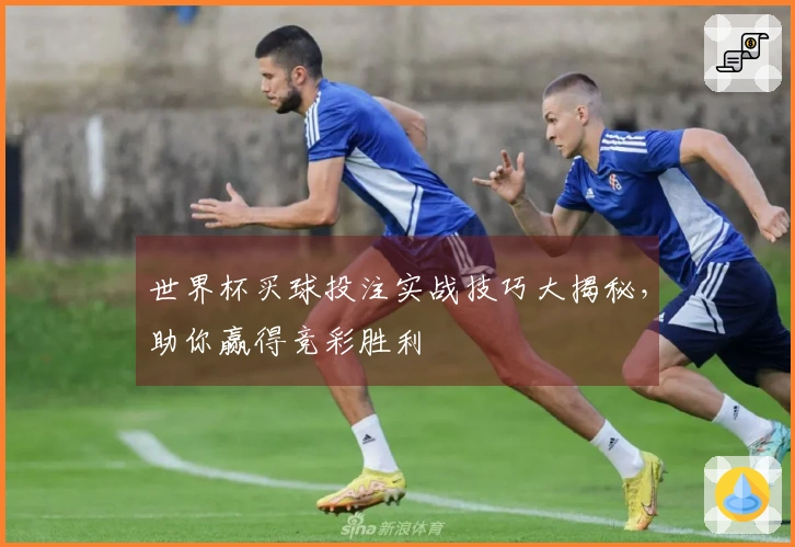 世界杯买球投注实战技巧大揭秘，助你赢得竞彩胜利