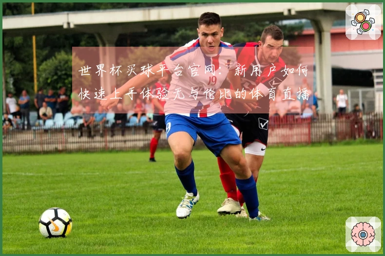 世界杯买球平台官网：新用户如何快速上手体验无与伦比的体育直播乐趣
