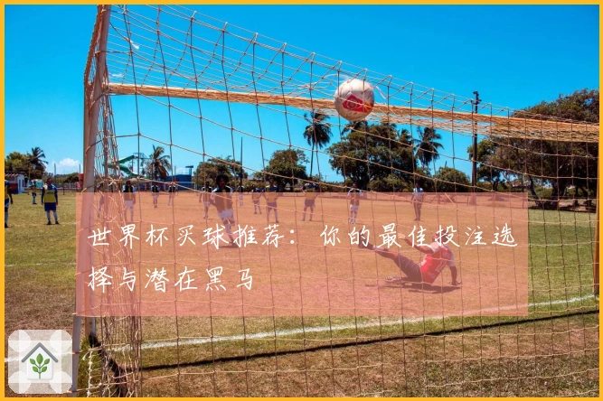 世界杯买球推荐：你的最佳投注选择与潜在黑马