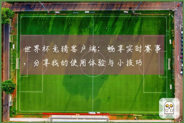 世界杯竞猜客户端:畅享实时赛事,分享我的使用体验与小技巧