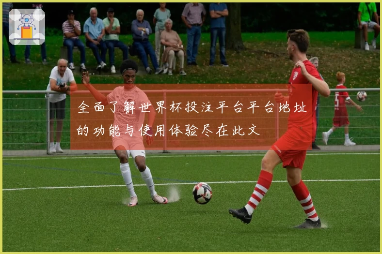 全面了解世界杯投注平台平台地址的功能与使用体验尽在此文