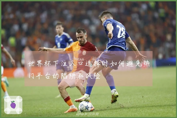 世界杯下注入口选择时如何避免热门平台的陷阱和风险
