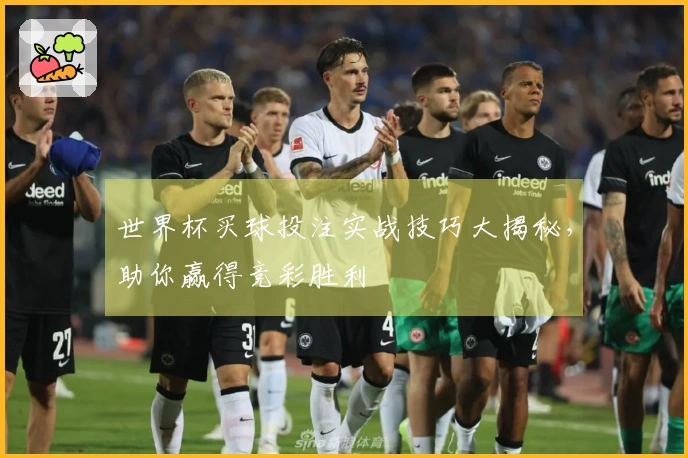 世界杯买球投注实战技巧大揭秘，助你赢得竞彩胜利