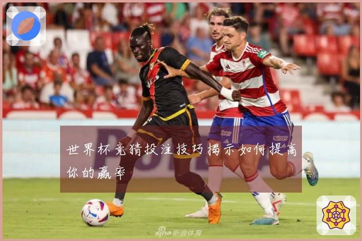 世界杯竞猜投注技巧揭示如何提高你的赢率