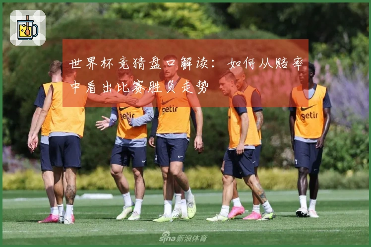 世界杯竞猜盘口解读：如何从赔率中看出比赛胜负走势