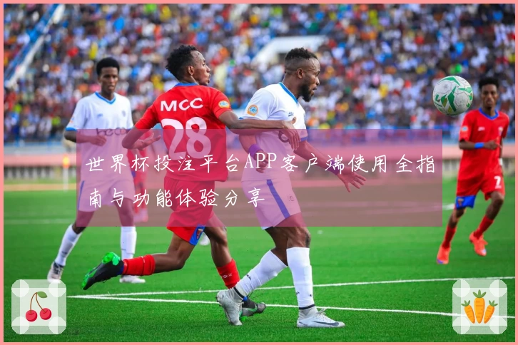 世界杯投注平台APP客户端使用全指南与功能体验分享
