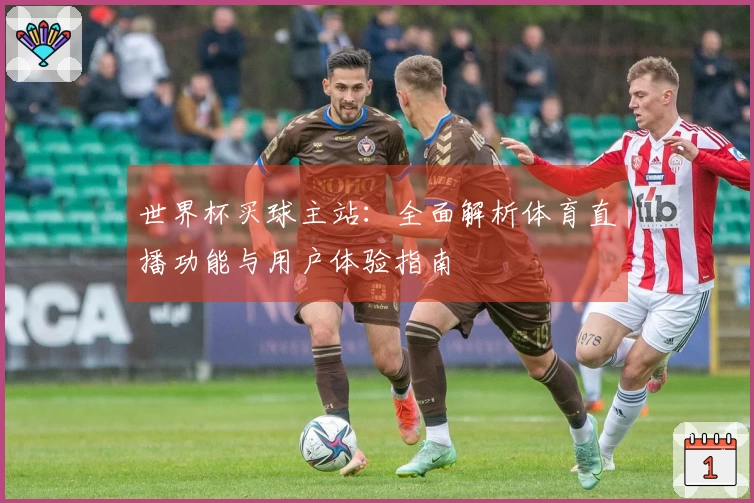 世界杯买球主站：全面解析体育直播功能与用户体验指南