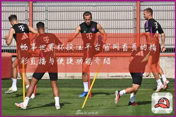 畅享世界杯投注平台官网首页的精彩直播与便捷功能介绍