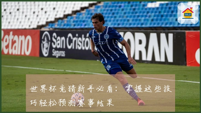 世界杯竞猜新手必看：掌握这些技巧轻松预测赛事结果